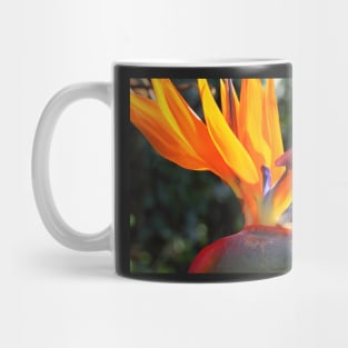 Bird of Paradise or Crane Lily Mug